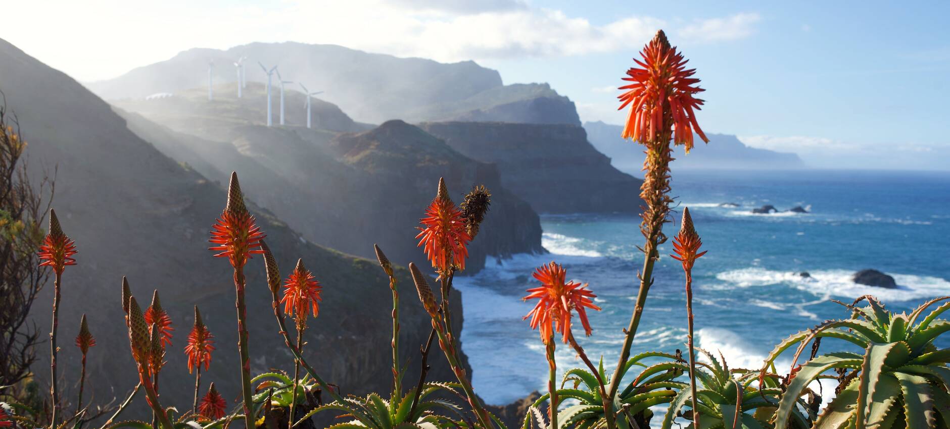 Madeira Ganzjährige Blumenpracht im Atlantik